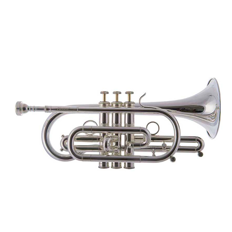 Bb Pioneer Cornet